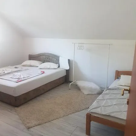 Salus Apartment *