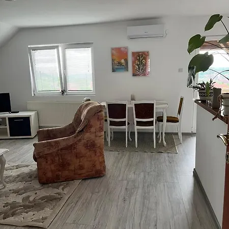 Apartment Salus